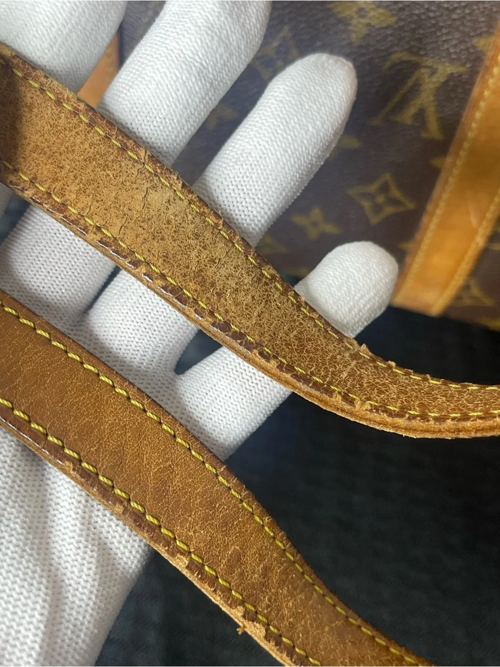 Louis Vuitton lv flanarie